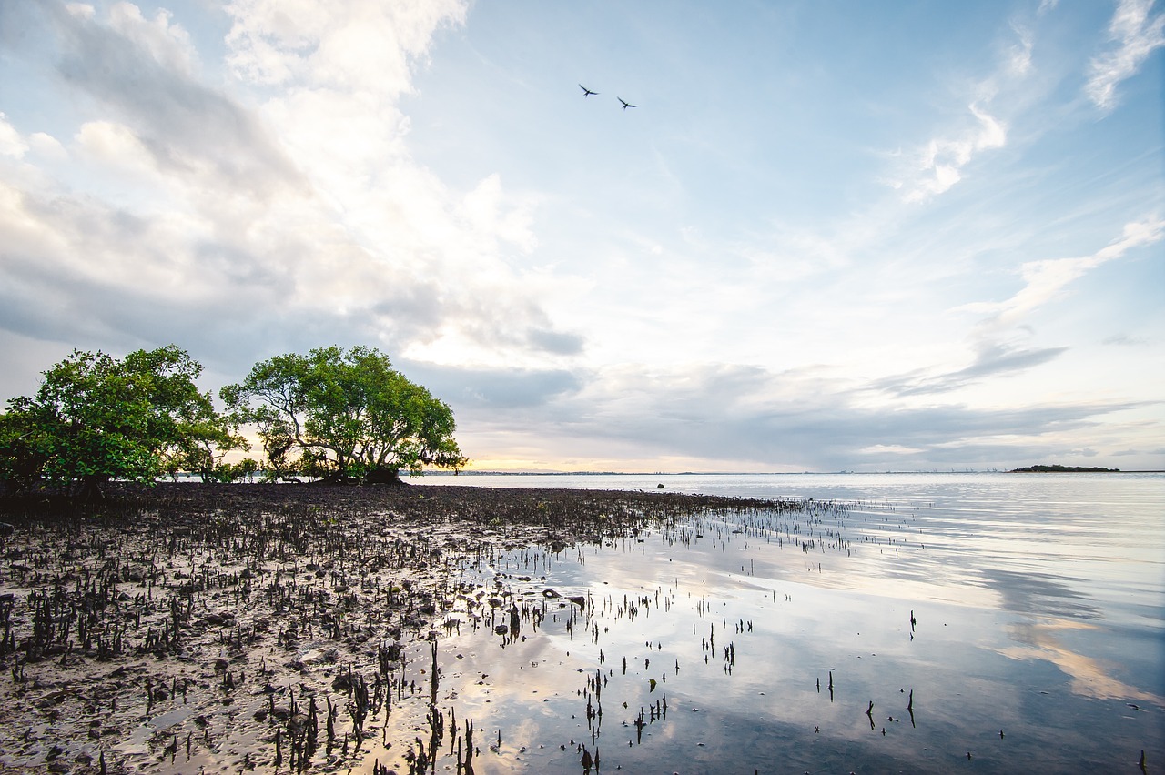 Ultimatives Brisbane und Moreton Island Abenteuer in 3 Tagen